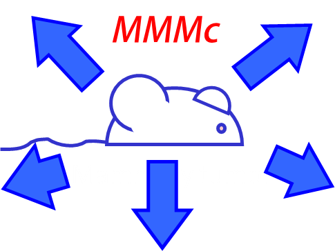 Mouse models of mammary cancer (MMMc) Logo